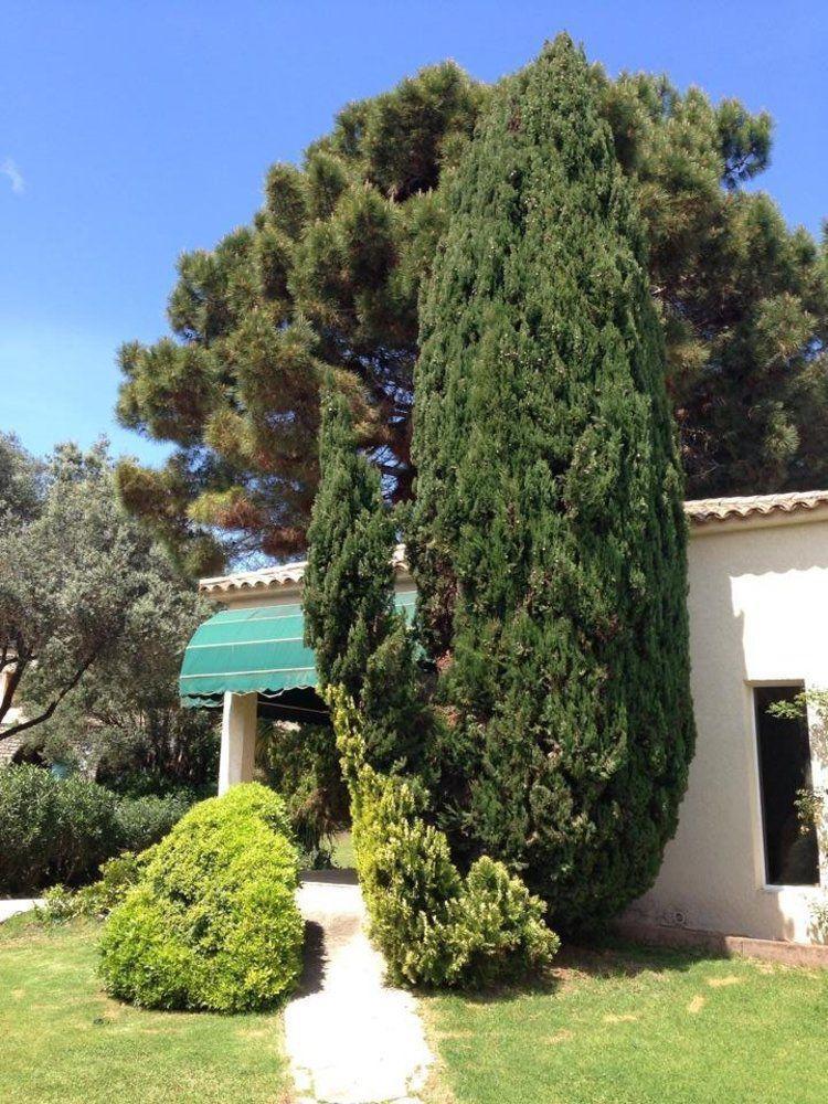 Residence Hoteliere A Trama Bonifacio  Dış mekan fotoğraf