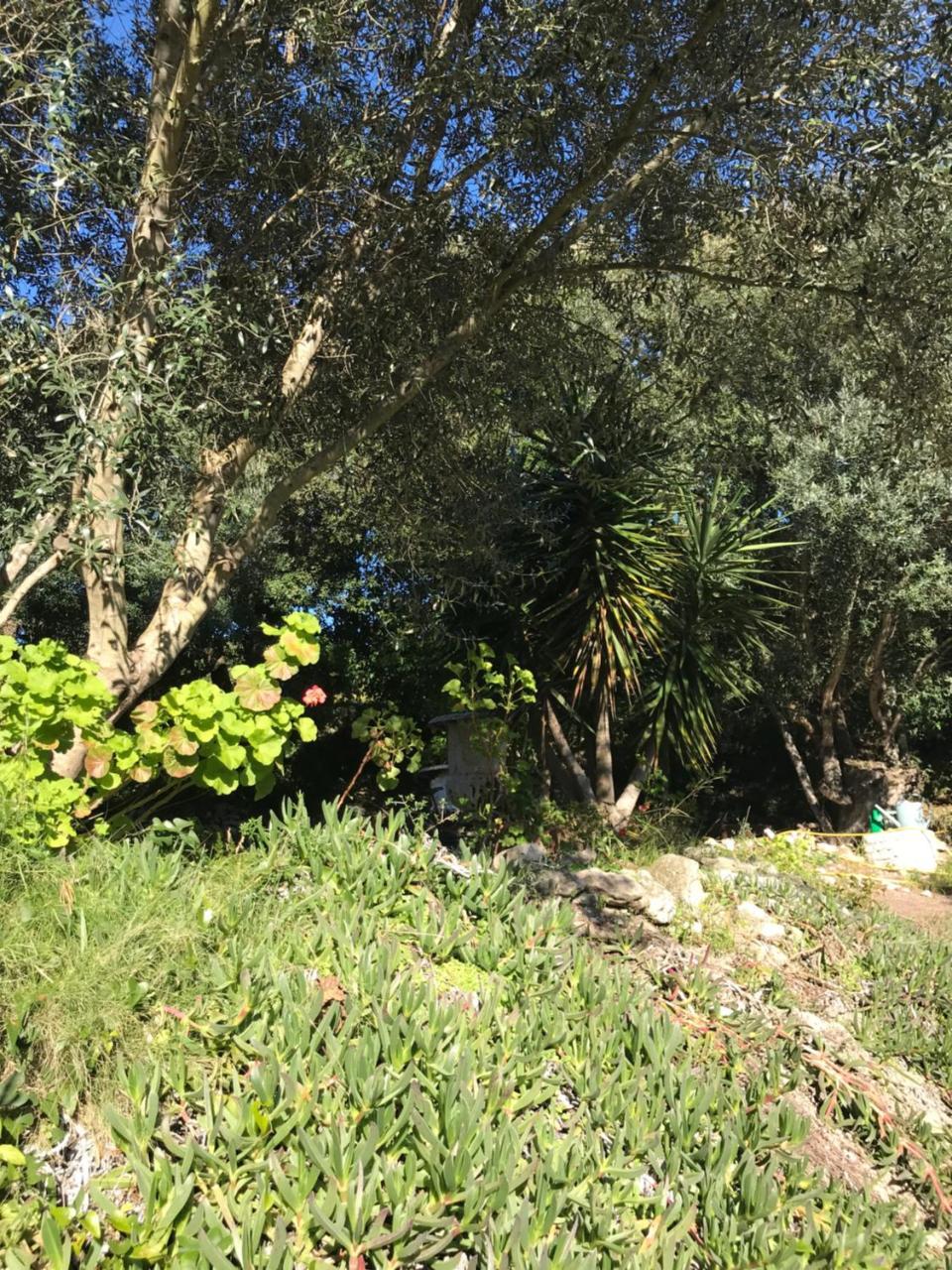 Residence Hoteliere A Trama Bonifacio  Dış mekan fotoğraf